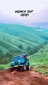 JEEP SAFARI   photo 2