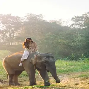 Jeep safari to  open forest  3-4 hours