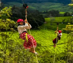 Zipline