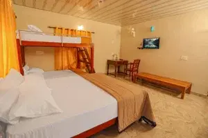 CLASSIC ROOM   photo 5