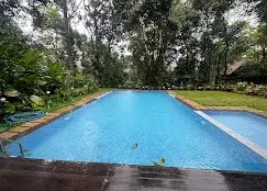 COUPLE TREE HOUSE   photo 5