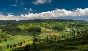 OOTY PACKAGE   photo 3