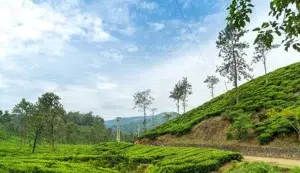 WAYANAD COORG PACKAGE   photo 2