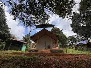 gavi safari stay program(Log house)   photo 3