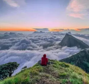 Meesapulimala Trekking   photo 1