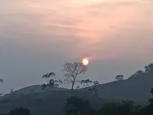 Full Day Tiger Reserve Jeep Safari   photo 5