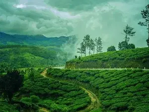  Munnar Kanthalloor Package   photo 3