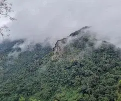 South Goa Tour   photo 5