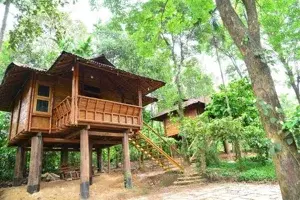 Wayanad Package Calicut Pick up   photo 1