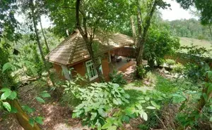 Deluxe Suite Cottage