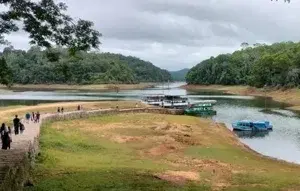 JEEP SAFARI  Thekkady Direction   photo 1
