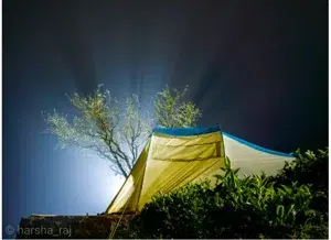 Kodanad Camp - Ooty   photo 1