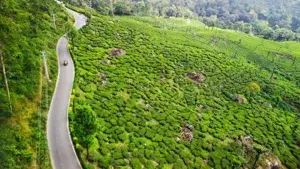 KERALA 6 Nights / 7 Days Itinerary   photo 3