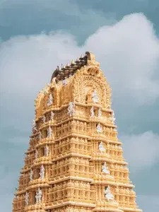 Mysore Sightseeing Tour   photo 3