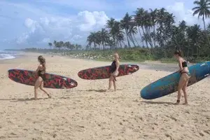  3 Surfing Lessons   photo 3