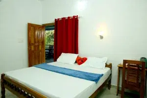 DELUXE ROOM   photo 3