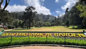 OOTY PACKAGE   photo 2
