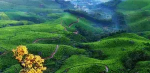 Cochin Munnar Alleppey Tour Package   photo 4