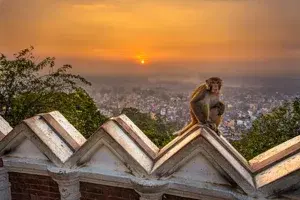 NEPAL PACKAGES   photo 1
