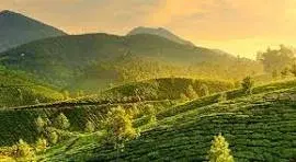 MUNNAR ALLEPPEY PACKAGE   photo 3
