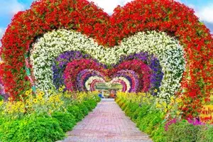 DUBAI PACKAGES   photo 3