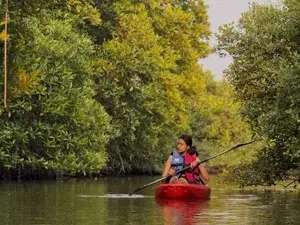 kayaking&Shikara ride   photo 2