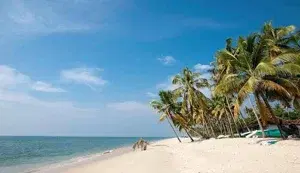 VARKALA ALLEPPEY PACKAGE   photo 1