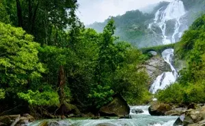 Dudhsagar Waterfall Trek Monsoon Package with Lunch   photo 4