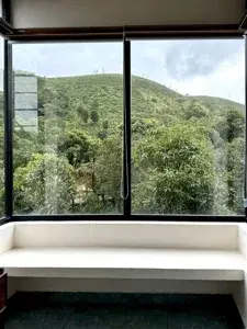 ROOM 1  Ava