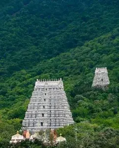 Tirupati Darshan   photo 3