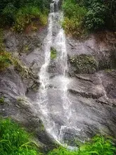 WAYANAD FAMILY PACKAGE CALICUT PICK UP   photo 3
