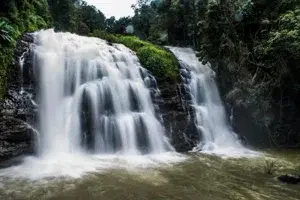 South India Tour Packages   photo 2