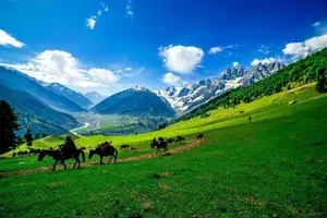Amazing Kashmir ( 3N4D)