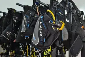 Scuba Diving   photo 5