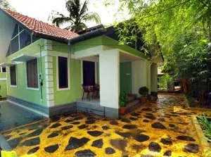 SINDHU   photo 3