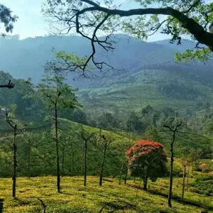 Tamilnadu Tour Packages 