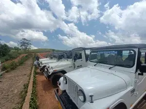 Full Day Gavi Jeep Safari