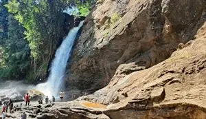 WAYANAD FAMILY PACKAGE CALICUT PICK UP   photo 3