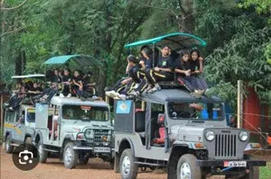 JUNGLE SAFARI   photo 1