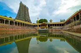 Rameswaram & Madurai   photo 4