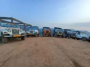 Jeep safari to  open forest  3-4 hours   photo 4
