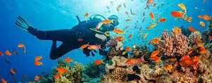 Snorkeling