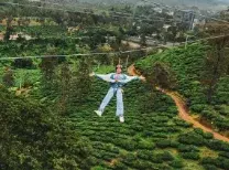 zipline