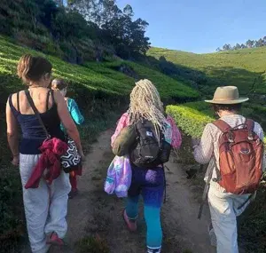 Full Day Trekking   photo 3
