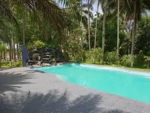 Deluxe Cottages   photo 5