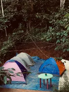 🏕️ 𝗢𝗨𝗧𝗗𝗢𝗢𝗥  𝗧𝗘𝗡𝗧 𝗦𝗧𝗔𝗬  - 5 𝗣𝗘𝗥𝗦𝗢𝗡🏕️