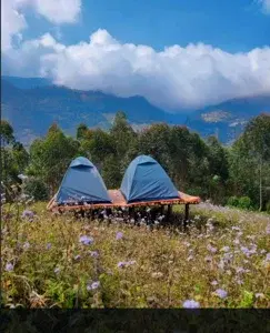 ROAMRUSTIC CAMP VATTAVADA   photo 1