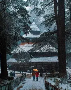 6-Days Shimla Manali with Chandigarh from Delhi   photo 4