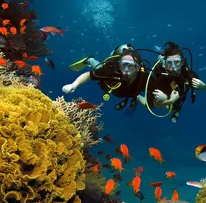 scuba Diving Experience   photo 5
