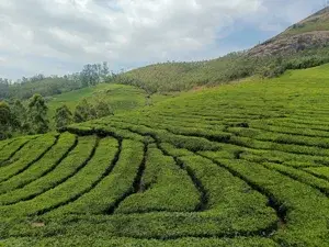 KERALA PACKAGES   photo 1